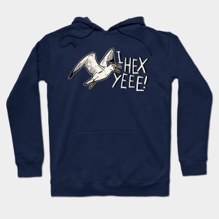 I hex yeee! Hoodie